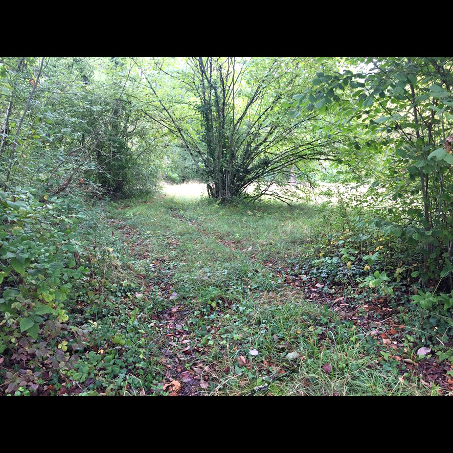 Le terrain pour le futur village des Corbeaux de Grimnir