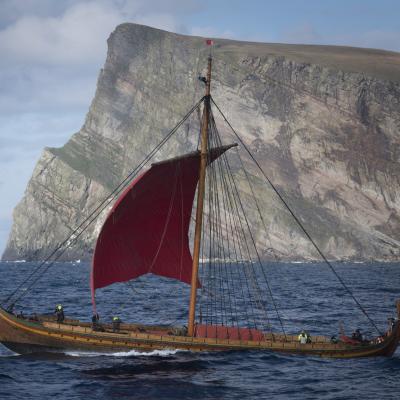 Dragon Harald Fairhair (Draken Harald Hargfagre)