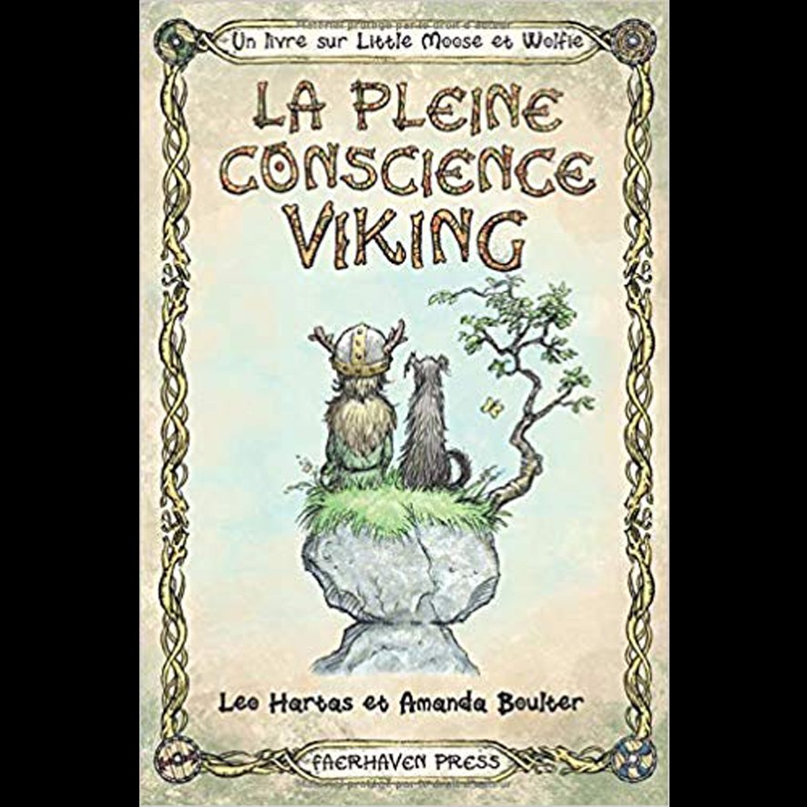 La pleine Conscience viking - Amanda BOULTER