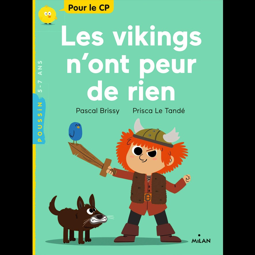 Les Vikings n'ont peur de rien - Pascal BRISSY