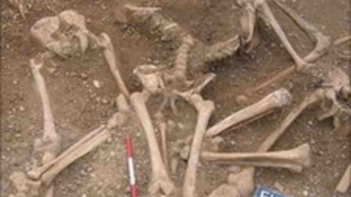 Un massacre de vikings à Oxford