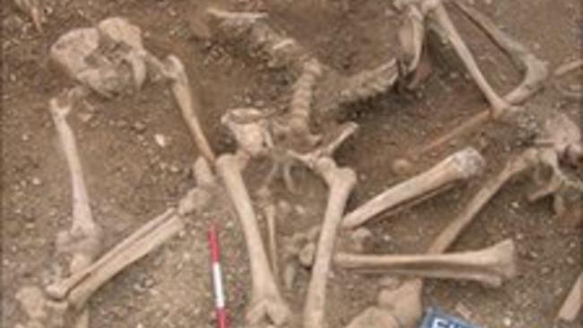 Un massacre de vikings à Oxford