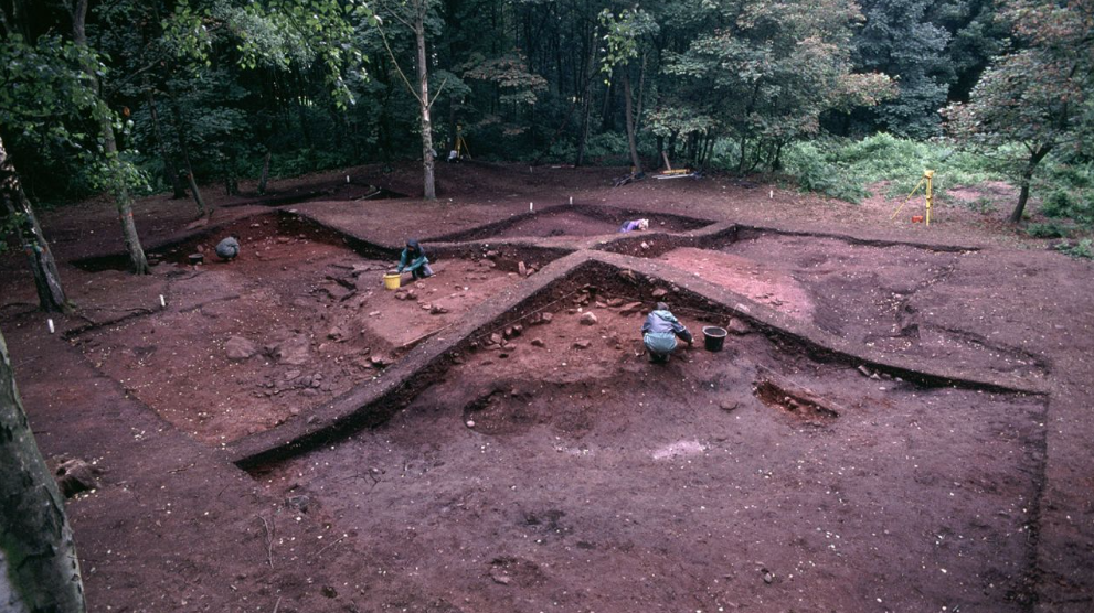 Angleterre - Le tumulus 50 en cours de fouille à Heath Wood - Photo: Julian Richards / Université de York