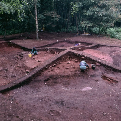 Angleterre - Le tumulus 50 en cours de fouille à Heath Wood - Photo: Julian Richards / Université de York