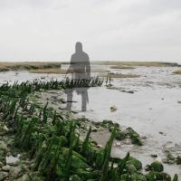 Angleterre - Vestiges de la première digue de Canvey Point construite en 1623 -  Photo-montage: Idavoll