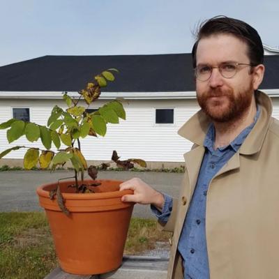 Canada - Tim McLaughlin, avec une jeune pousse de noyer cendré, pense que les Vikings ont visité la côte de Fundy - Photo: Elke Semerad / CBC