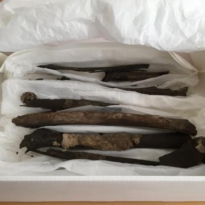 Danemark - Ces os humains recouverts en partie de tissus de la tombe de Bjerringhøj, à Mammen, avaient disparu depuis plus d'un siècle - Photo: Musée national du Danemark