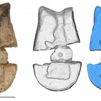 Août - Grâce à la technologie de la dentisterie, des chercheurs danois ont recréé un modèle de bijou d'après des moules découverts à Ribe. Que représente-t-il selon eux?