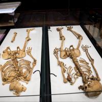 Danemark - Les deux squelettes de Vikings danois, membre de la même famille, enfin réunis au Musée national - Photo: Ida Marie Odgaard Ritzau /AFP