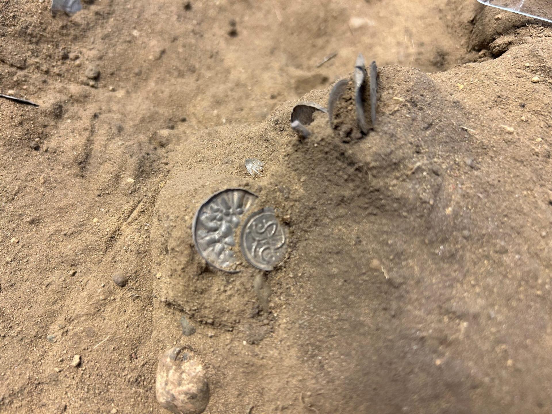 Danemark - Pièces en argent dans un champ à Bramslev qui appartiennent à deux trésors de la fin du règne d'Harald à la Dent bleue - Photo: Musées du Jutland du Nord