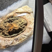 Danemark - Une des broches avec des fragments de tissu bien conservés découverte dans la tombe d'une femme du début de l'Âge Viking à Skonager - Photo: Arkæologi Vestjylland