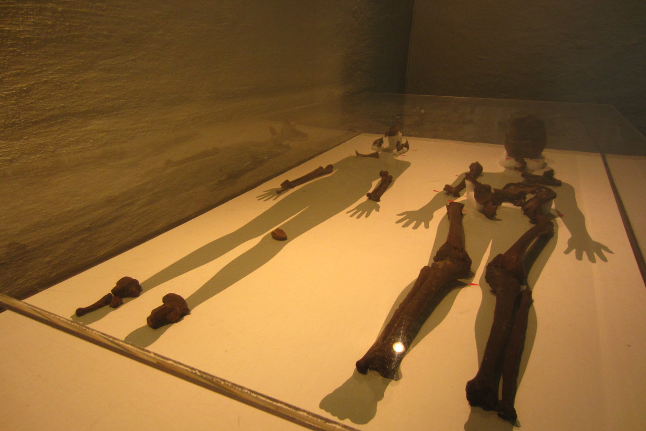 Norvège - Squelettes des défuntes de la sépulture d'Oseberg
