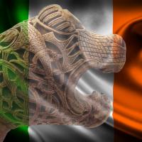 Les Vikings en Irlande