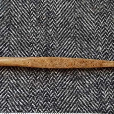 Ecosse - Fragment de fibule en os découvert à Tiree - Photo The Scotsman