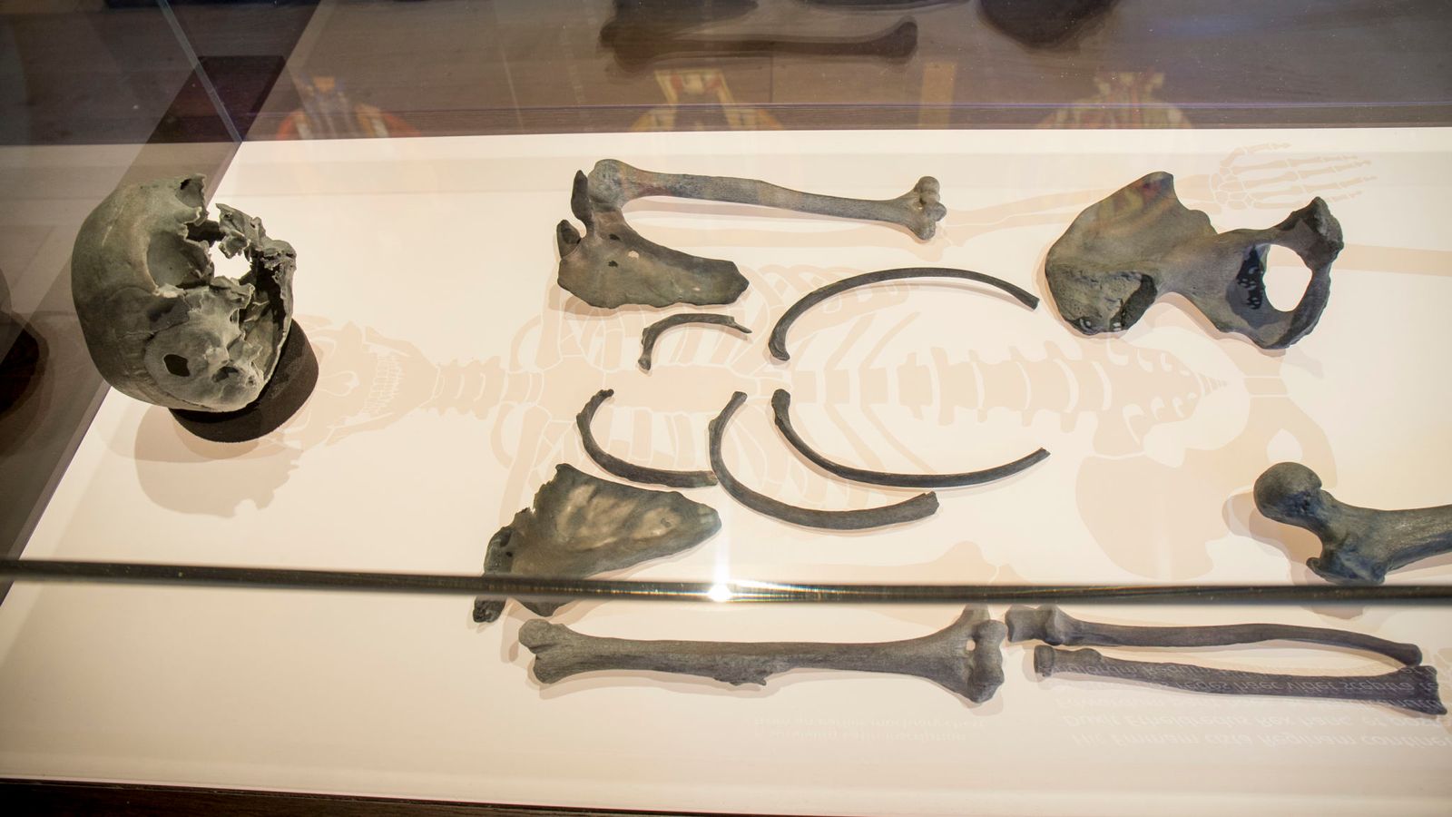 Grande-Bretagne - Répliques des os de la reine Emma à l'exposition Kings and Scribe - Photo: Cathédrale de Winchester