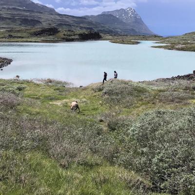 Groenland - Le lac 578 dans le sud du pays au bord duquel se trouvent les ruines d'une ancienne ferme de colons nordiques - Photo: Raymond S. Bradley
