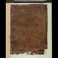 La Saga des gens du Ljósavatn, AM 162 C fol - Photo: Institut Árni Magnússon