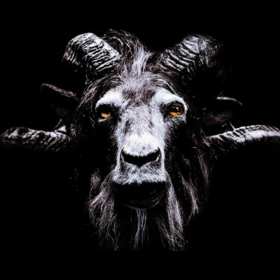 Les animaux mythiques