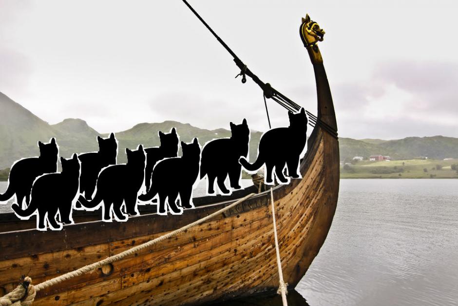 France - Les Vikings voyageaient avec des chats - Illustration: Videnskab.dk