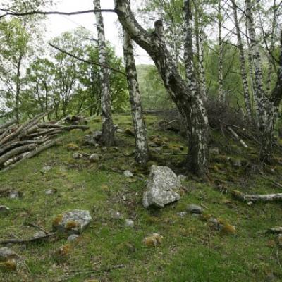 Norvège - Eggjo, le deuxième tumulus de l'Âge Viking qui sera ouvert à Borgund - Photo Odd Helge Brugrand pour NRK