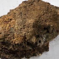 Norvège - L'un des morceaux de tissu découvert dans la tombe d'une femme à Hestnes datée entre 850 et 950 - Photo: Åge Hojem/ NTNU