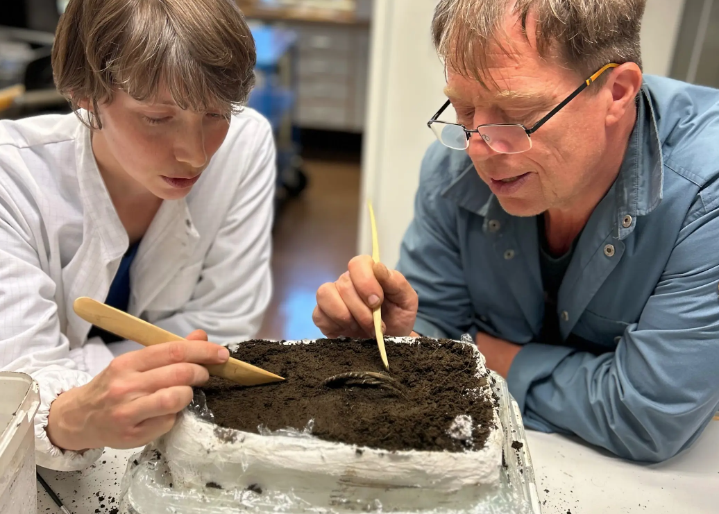 Norvège - La conservatrice Hege Ingjerd Hollund et l'archéologue Volker Demuth au chevet du trésor de l'Âge viking en argent découvert à Årdal - Photo: Anniken Celine Berger