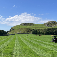 Février - Quelles traces de l'Âge Viking ont été détectées grâce au géoradar par les archéologues à Utstein, sur l'île norvégienne de Klosterøy?