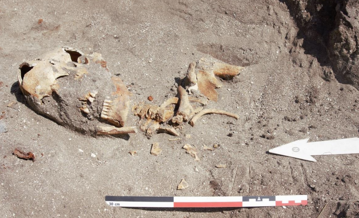 Norvège - Le squelette bien conservé d'un jeune homme du début de l'Âge Viking dans le sable de l'île de Jøa - Photo: Monica Enehaug / NTNU NTNU Vitenskapsmuseet