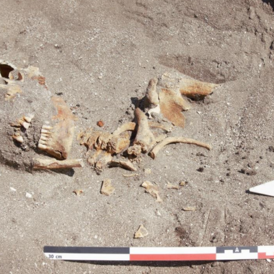 Norvège - Le squelette bien conservé d'un jeune homme du début de l'Âge Viking dans le sable de l'île de Jøa - Photo: Monica Enehaug / NTNU NTNU Vitenskapsmuseet