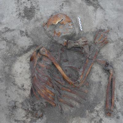 Norvège - Le squelette découvert à Gimsøya et sa hache étrangement placée - Photo: Musée universitaire de Tromsø