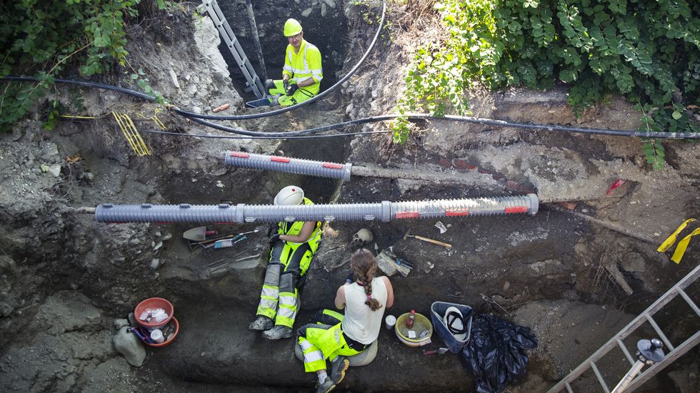 Norvège - Les archéologues se demandent s'ils ont découvert la sépulture d'Harald Hardrada - Photo: adressa.no