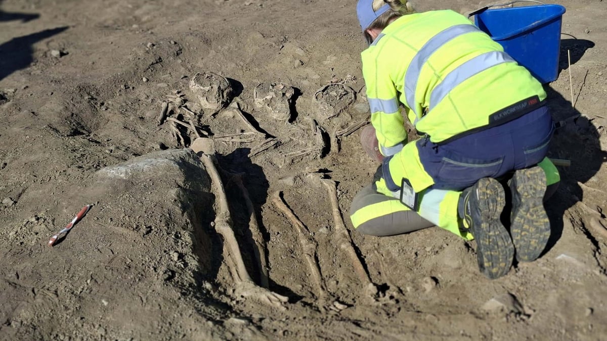 Norvège - Une des fosses communes du cimetière chrétien millénaire de Valum, près de Hamar - Photo: Nina Sofie Hildre / Municipalité du comté d'Innlandet