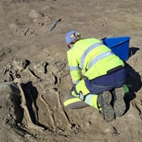 Norvège - Une des fosses communes du cimetière chrétien millénaire de Valum, près de Hamar - Photo: Nina Sofie Hildre / Municipalité du comté d'Innlandet