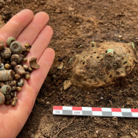 Norvège - Une poignée des nombreuses perles trouvées dans la tombe viking du jardin de la famille Heiland, et l'une des quatre broches ovales - Photo: Emma Norbakk