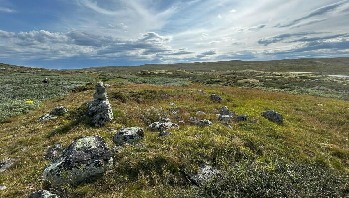 Norvège - Vestiges d'un refuge en pierre et en tourbe utilisé à l'Âge Viking dans le parc national du Hardangervidda - Photo: Marianne Vedeler