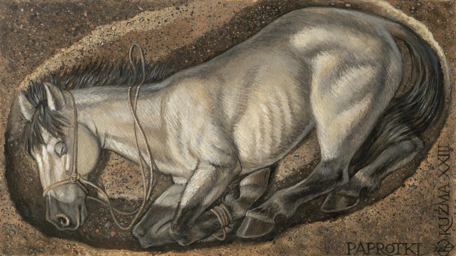 Pays baltes - Reconstitution d'un dépôt sacrificiel de cheval à Paprotki Kolonia, en Pologne - Illustration: Mirosław Kuzma