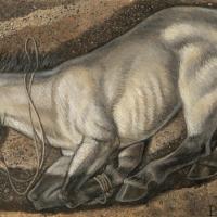 Pays baltes - Reconstitution d'un dépôt sacrificiel de cheval à Paprotki Kolonia, en Pologne - Illustration: Mirosław Kuzma