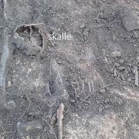 Suède - Découverte de deux squelettes de l'Âge Viking décapités - Photo: Västergötland Museum