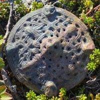 Suède - La broche qui a permis de mettre au jour la première tombe féminine de l'Âge Viking dans les montagnes du Jämtland - Photo: Eskil Nyström