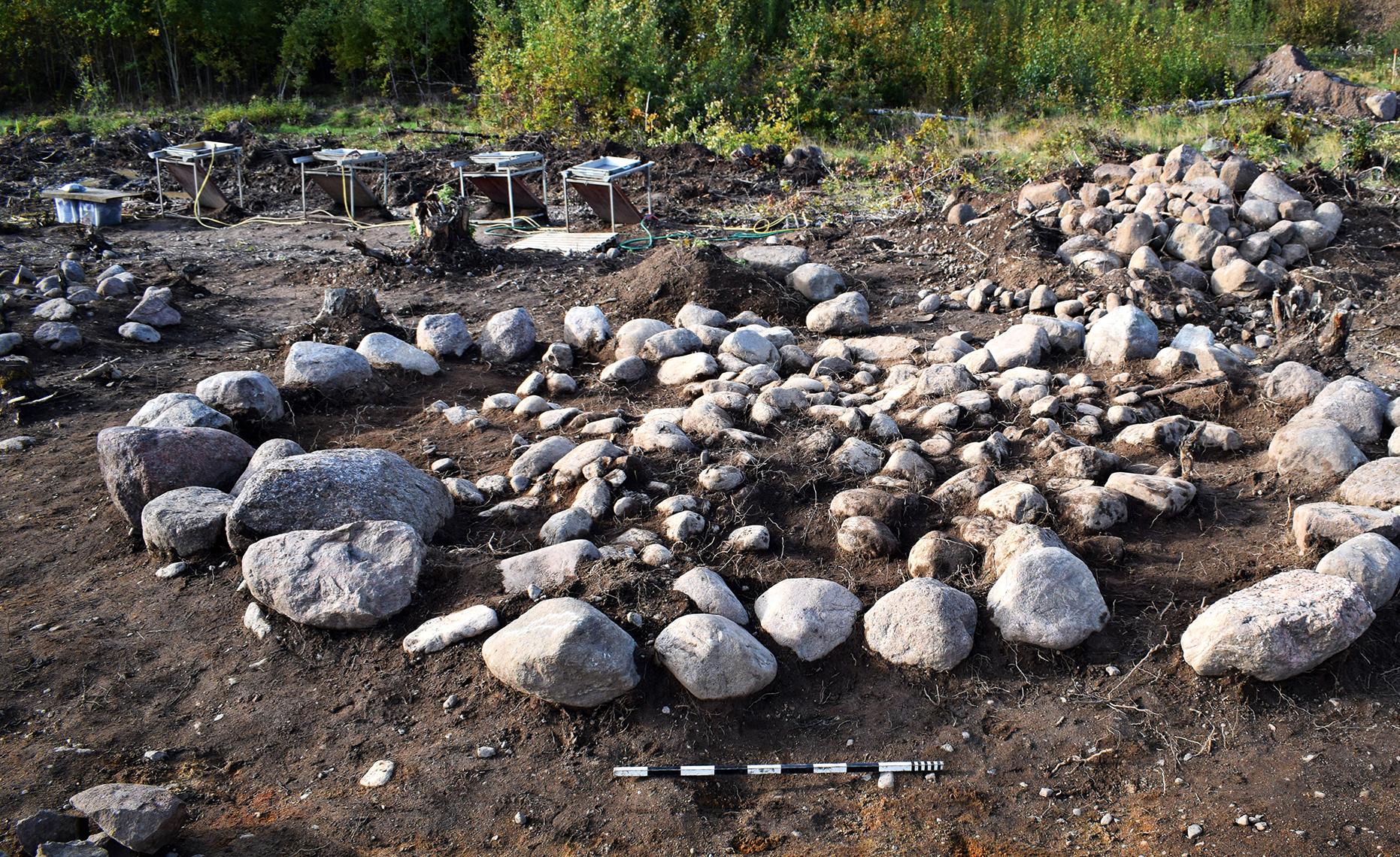 Suède - La tombe d'une défunte reposant sur un lit d'iris des marais à Bådstorp - Photo: Arkeologerna