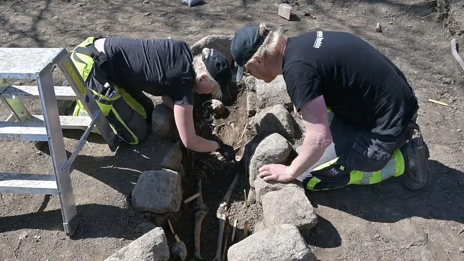 Suède - Sept tombes chrétiennes de l'Âge Viking découvertes à Sigtuna - Photo: Uppdrag arkeologi