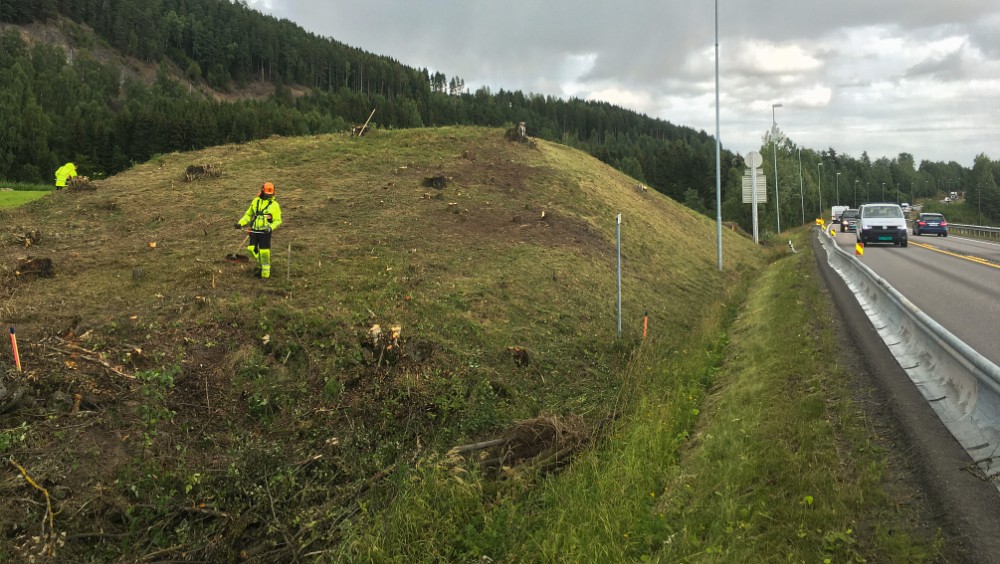 Norvège - Le tumulus de Ringsaker - Photo Knut Rosrud/ NRK