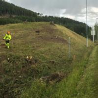 Norvège - Le tumulus de Ringsaker - Photo Knut Rosrud/ NRK