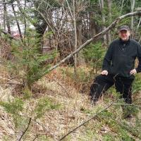 Wayne Macissac se tient devant ce qu'il estime être les vestiges d'un mur de fortification viking